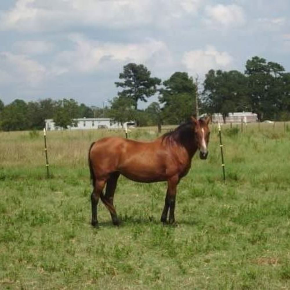 Meet your Posher, Kim